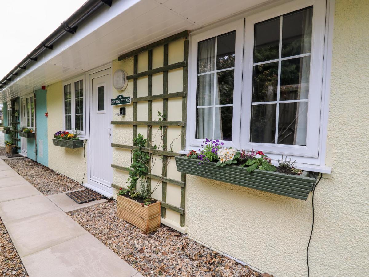 Primrose Cottage Llandrindod Wells Kültér fotó